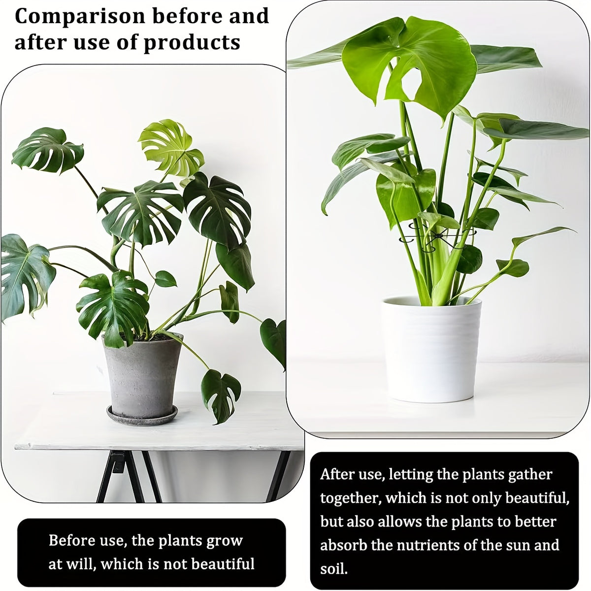 8pcs turtle bamboo holder support anti fall frame spring