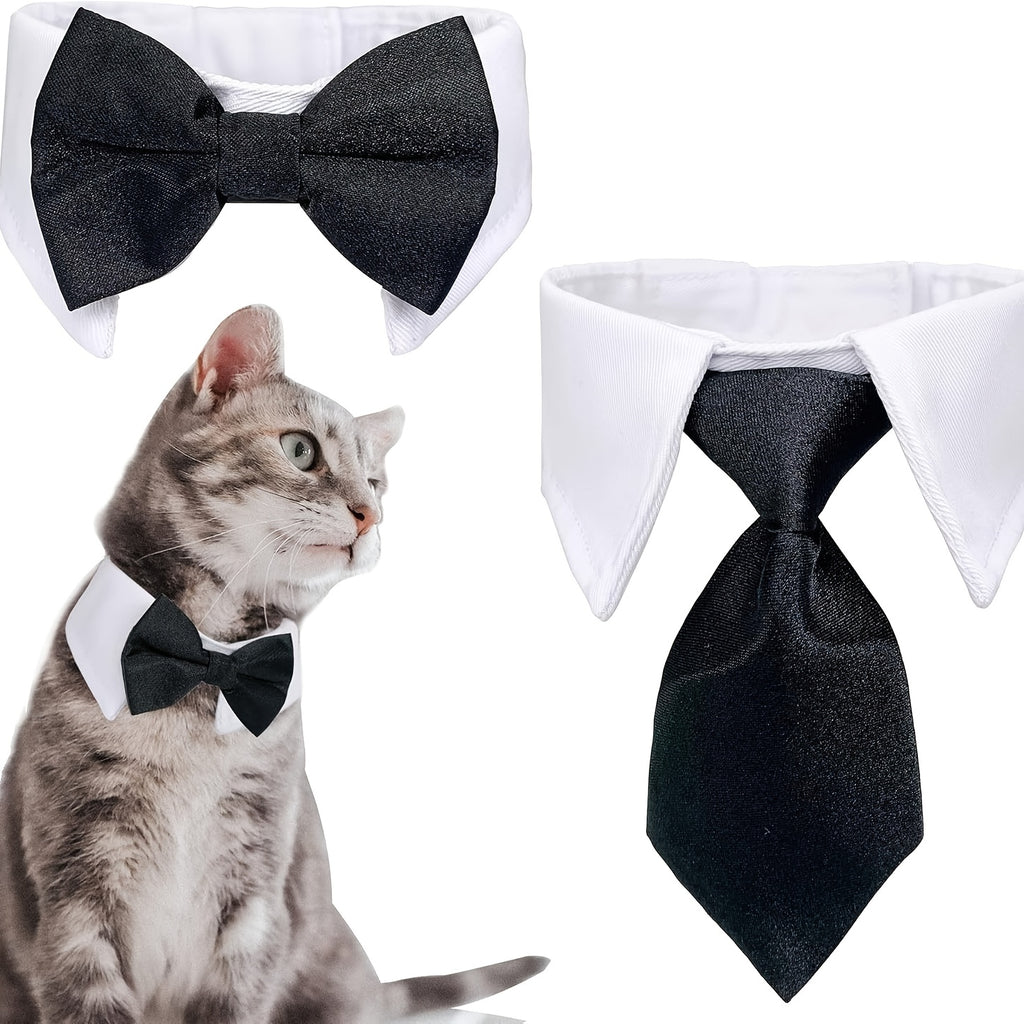 formal necktie bow tie black white