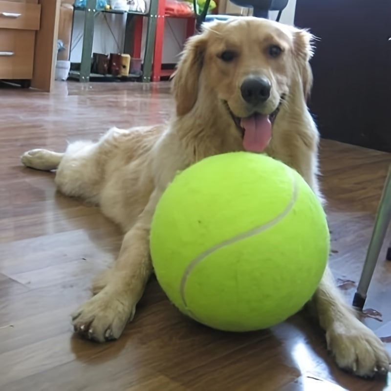 needle giant   pet tennis ball