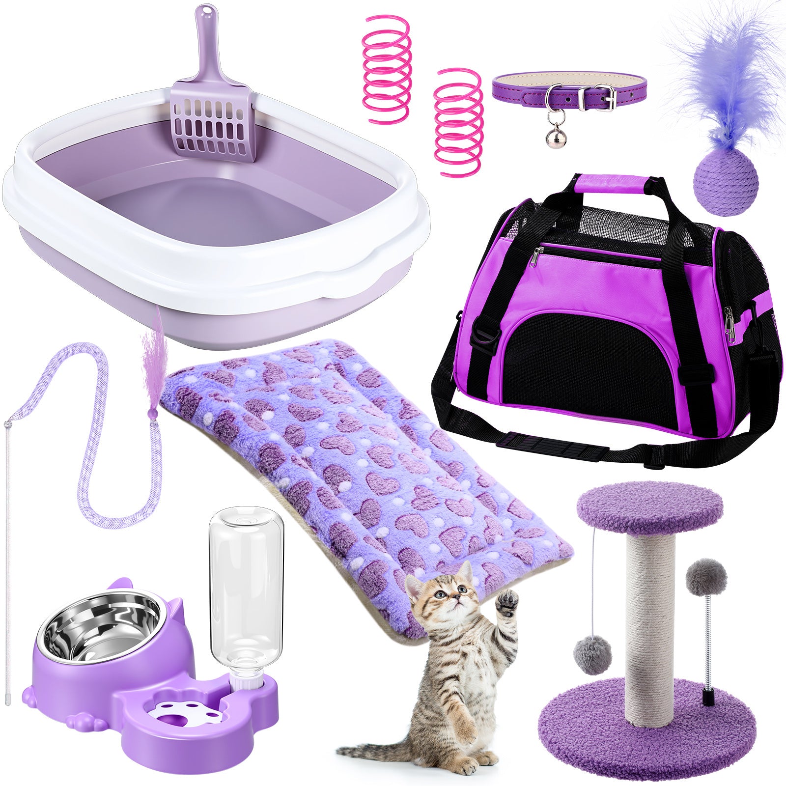 1 set kitten starter kit 10pcs cat starter kit indoor cats