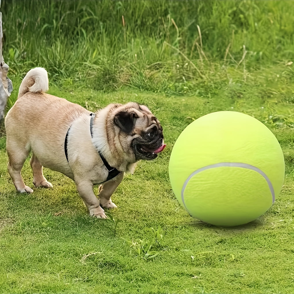 needle giant   pet tennis ball