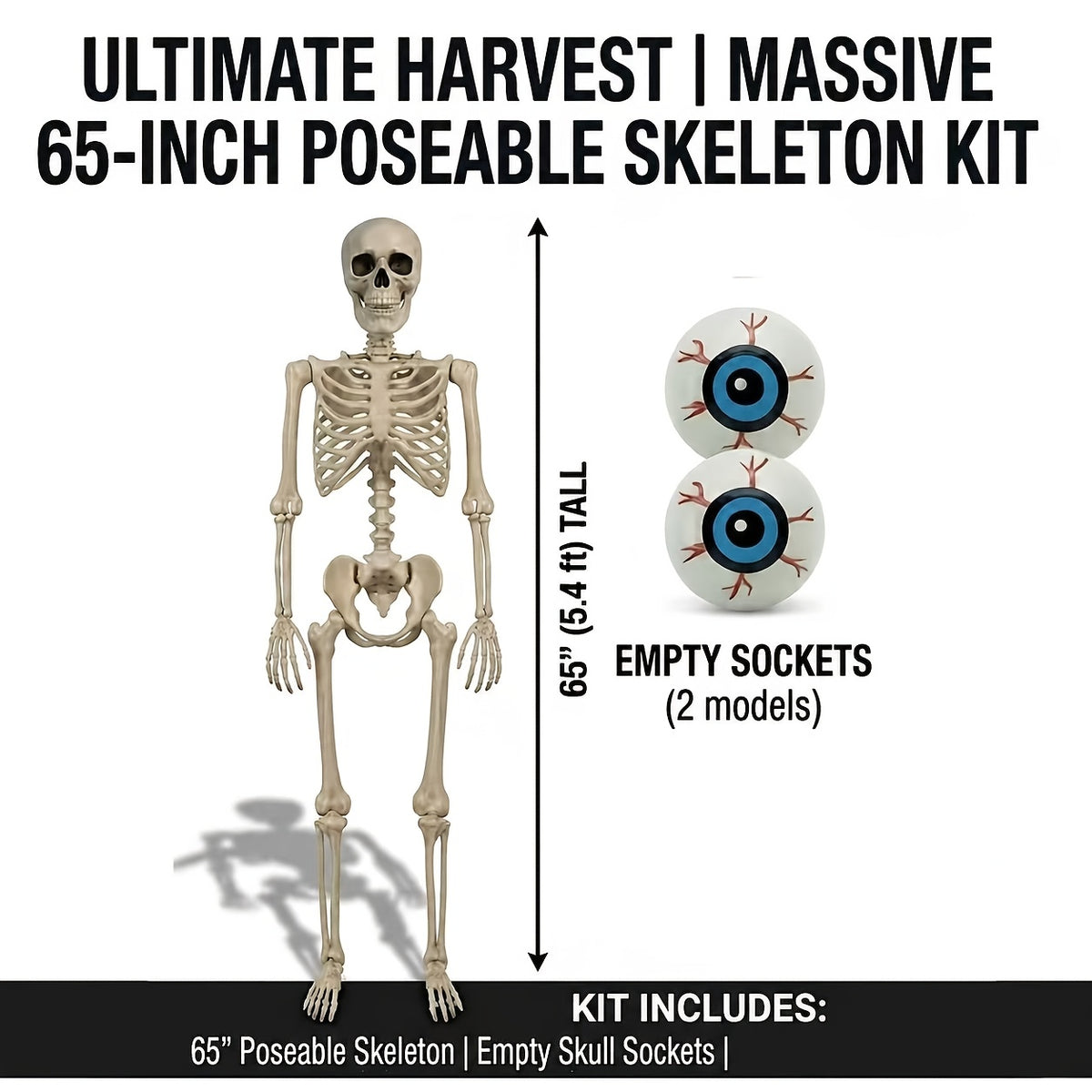 5 4ft posable   human   skeletons plastic human