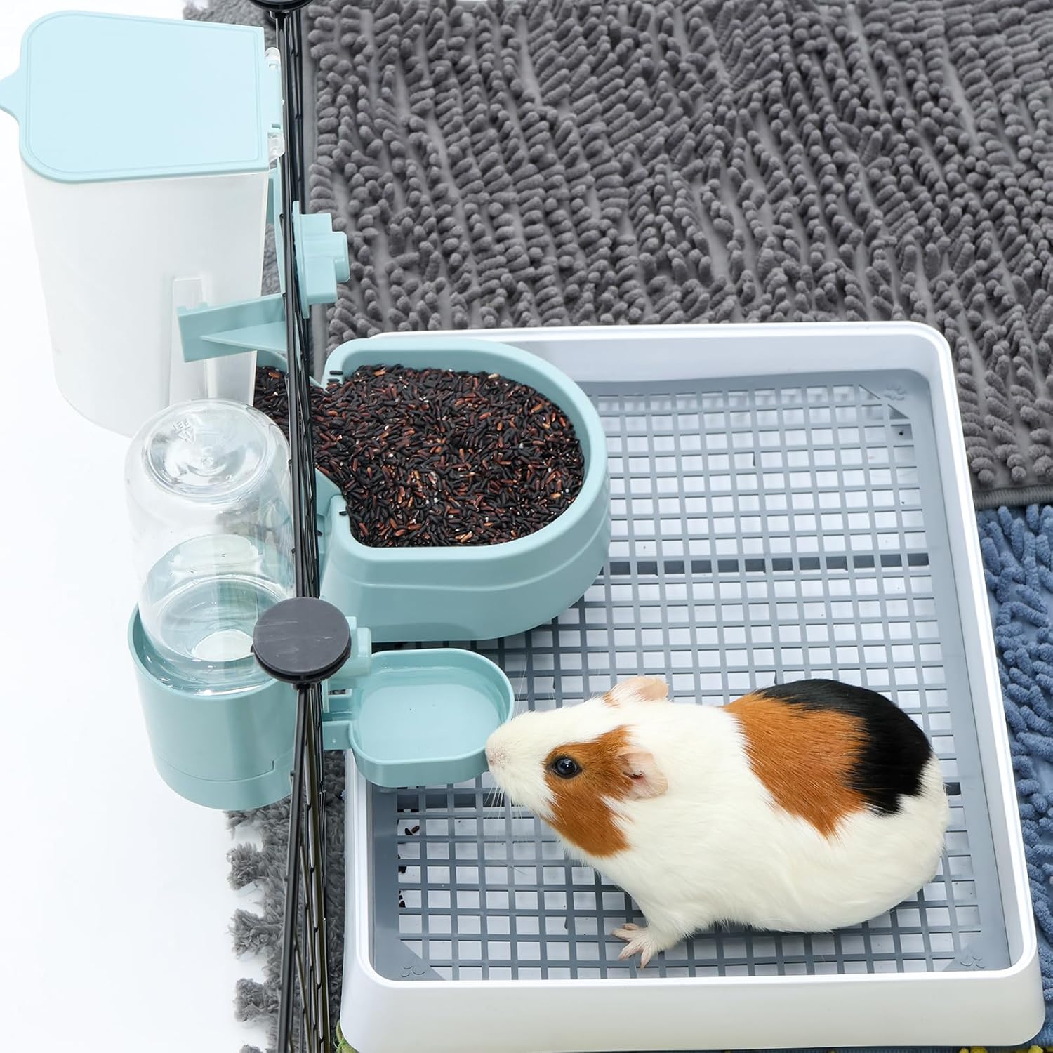 small pet feeder waterer rabbit ferret cat bird