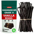 25pcs   madagascar   suitable making