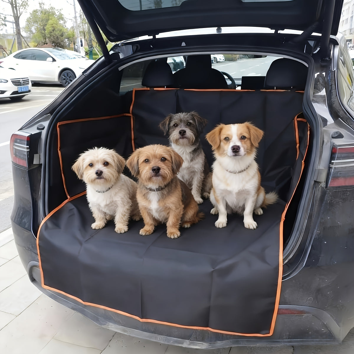 car cargo liner   travel