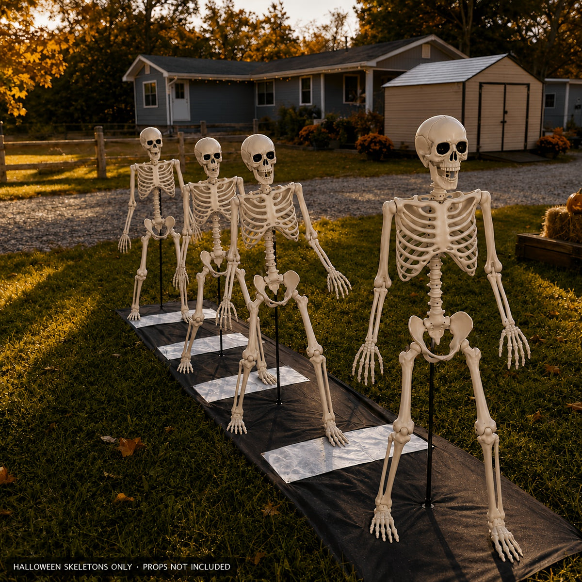 5 4ft adjustable   human   skeleton plastic