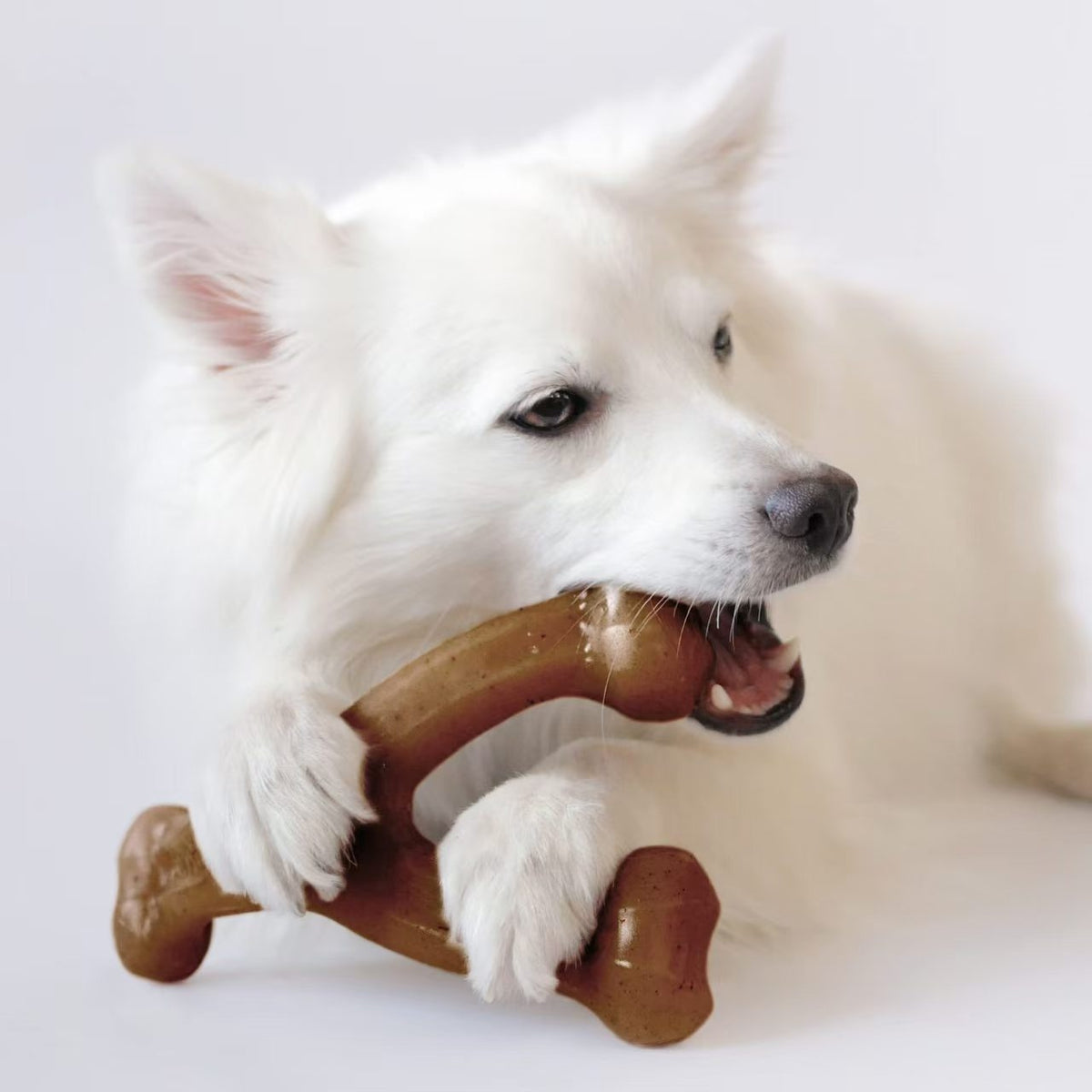 indestructible dog chew toy   long lasting