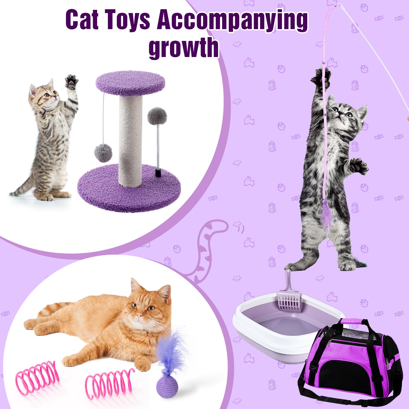 1 set kitten starter kit 10pcs cat starter kit indoor cats